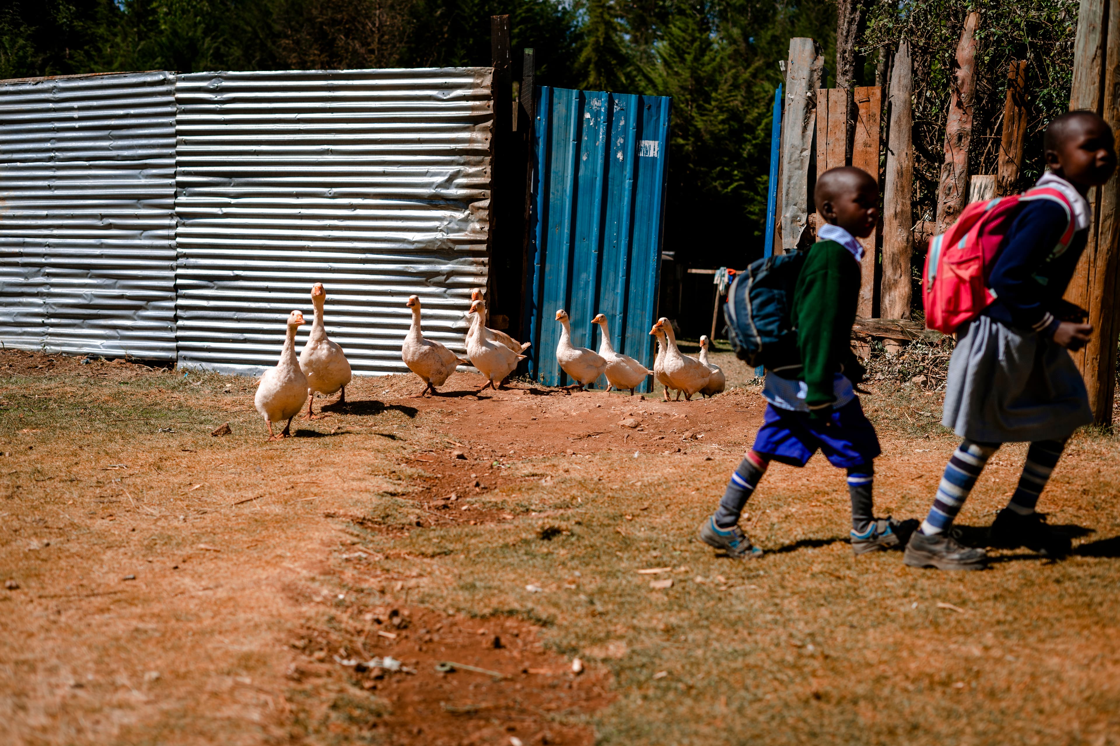 Torongo training camp photo 5